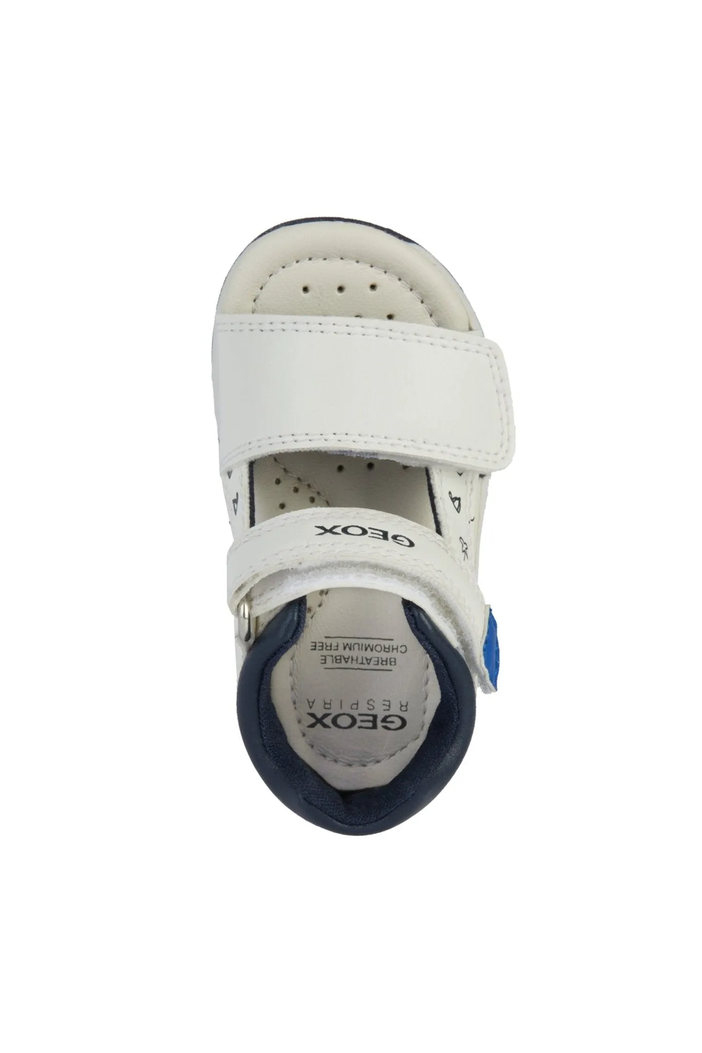 Geox - Sandal Tapuz - White/Royal